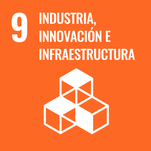Objetivo 9