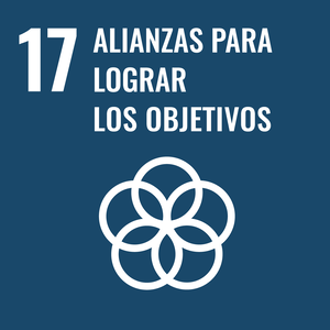 Objetivo 17